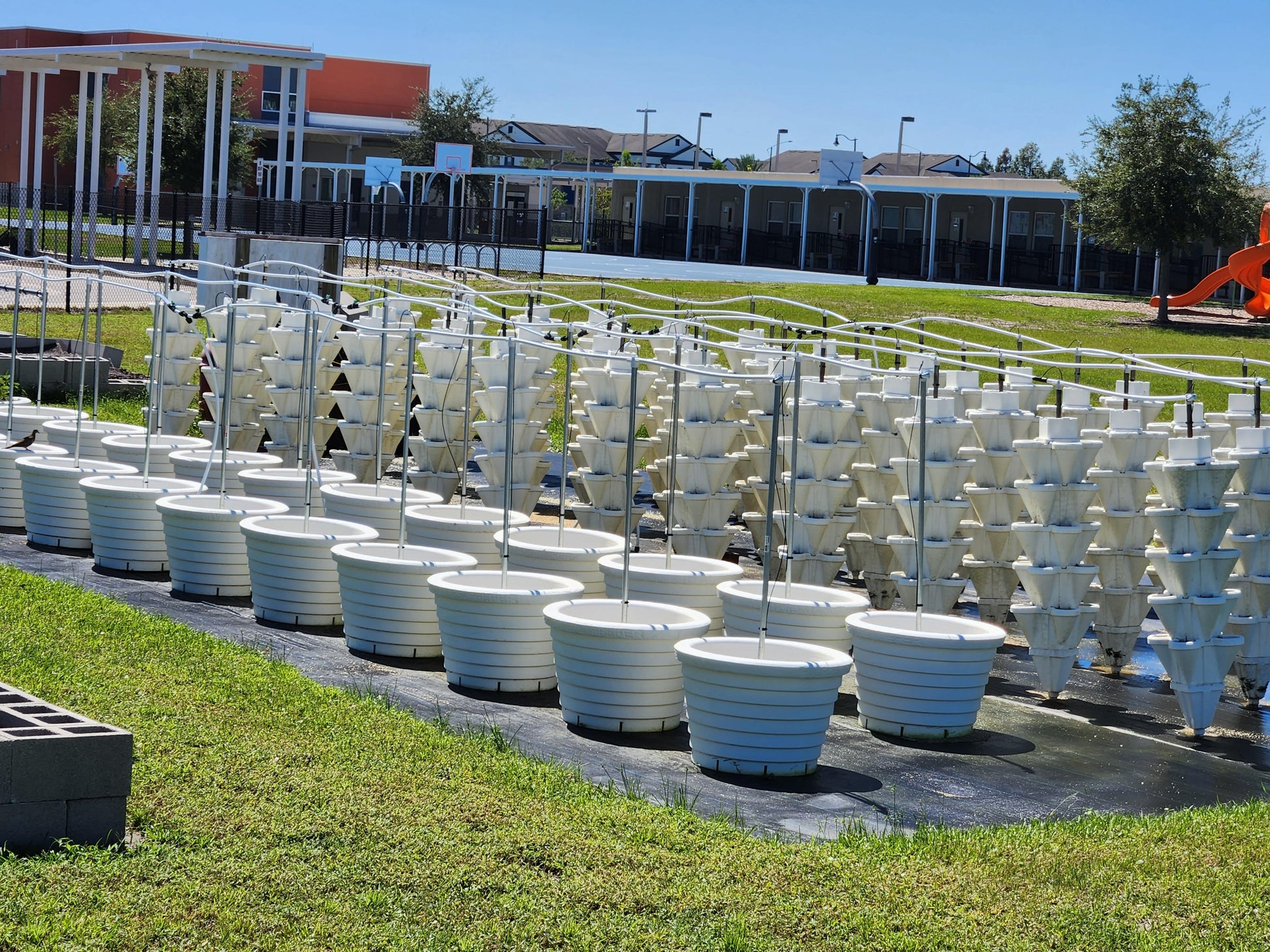 20 Stack Injected Automatic Feed Unit – Hydro Stacker East